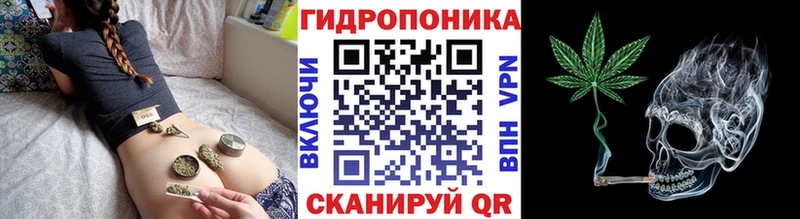 Купить закладку Кириши Кокаин Alpha-PVP Амфетамин Гашиш Героин Конопля