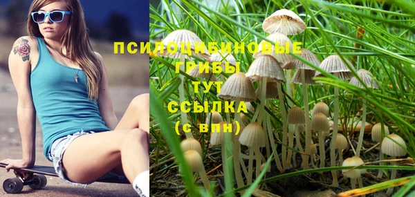 бошки Алексеевка