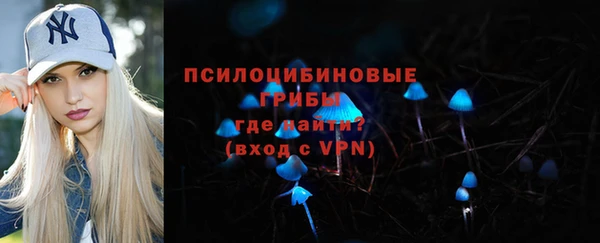 бошки Алексеевка